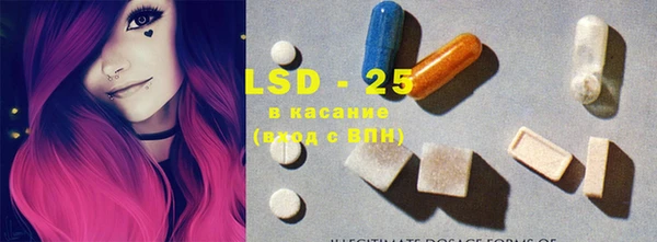 прущие грибы Абинск