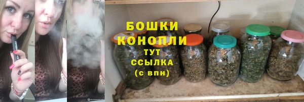 прущие грибы Абинск