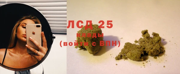прущие грибы Абинск