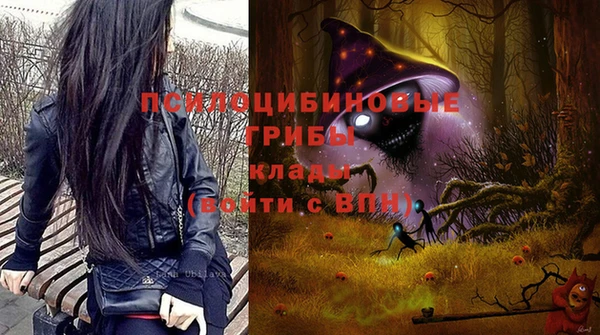 СК Алексеевка