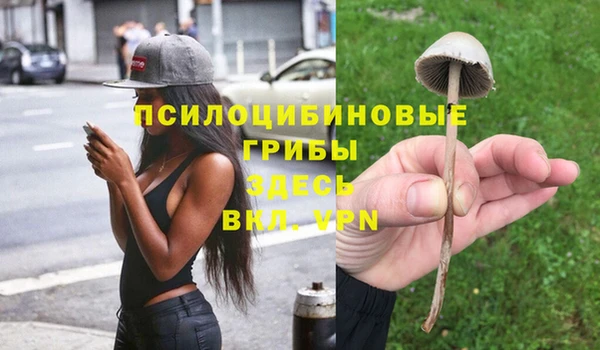 молекула духа Алексин