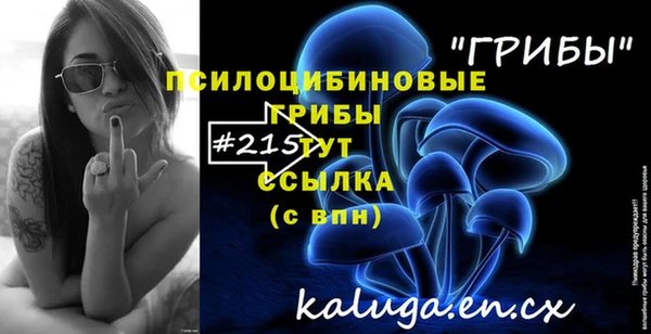 СК Алексеевка