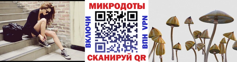 blacksprut зеркало  Тбилисская  Псилоцибиновые грибы GOLDEN TEACHER 